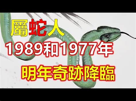 1989 蛇 五行|1989年属蛇是什么命 1989年属蛇命运